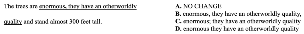 The trees are enormouse, they have an otherworldly quality and stand almost 300 feet tall.

A. NO CHANGE
B. enormous, they have an otherworldly quality,
C. enormous; they have an otherworldly quality
D. enormous they have an otherworldly quality